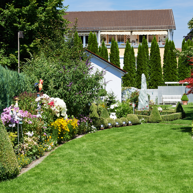 Paradise Valley Landscaping