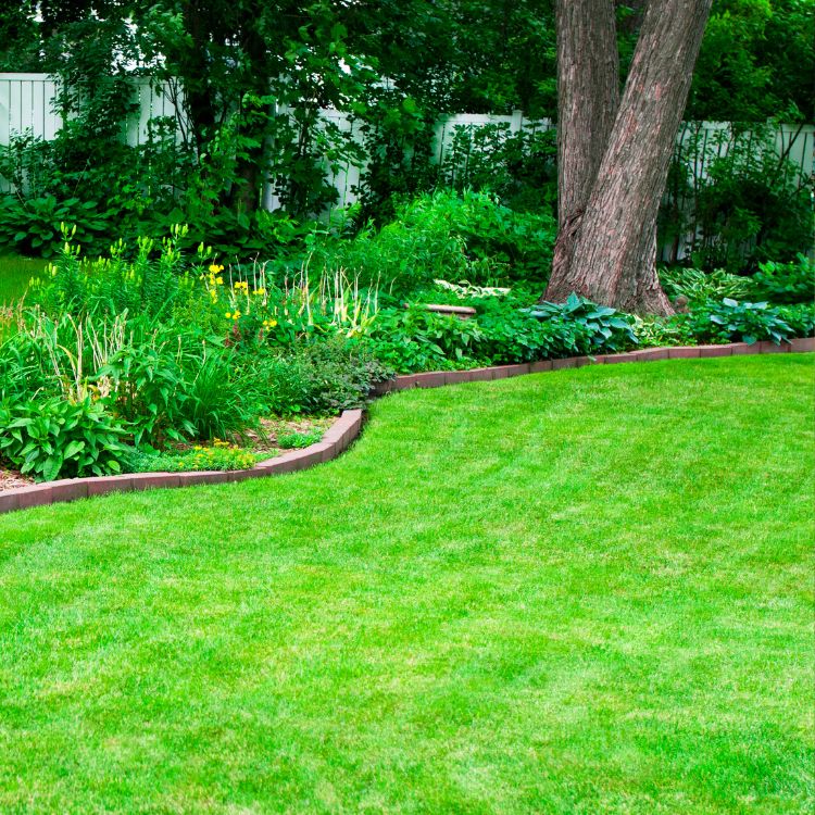 Paradise Valley Landscaping