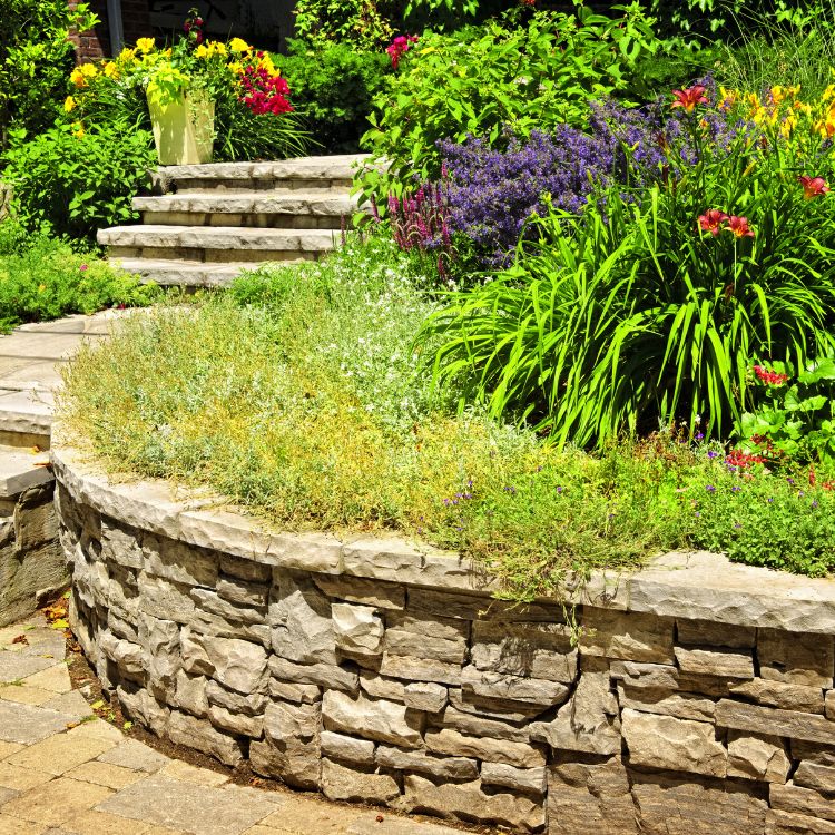 Paradise Valley Landscaping