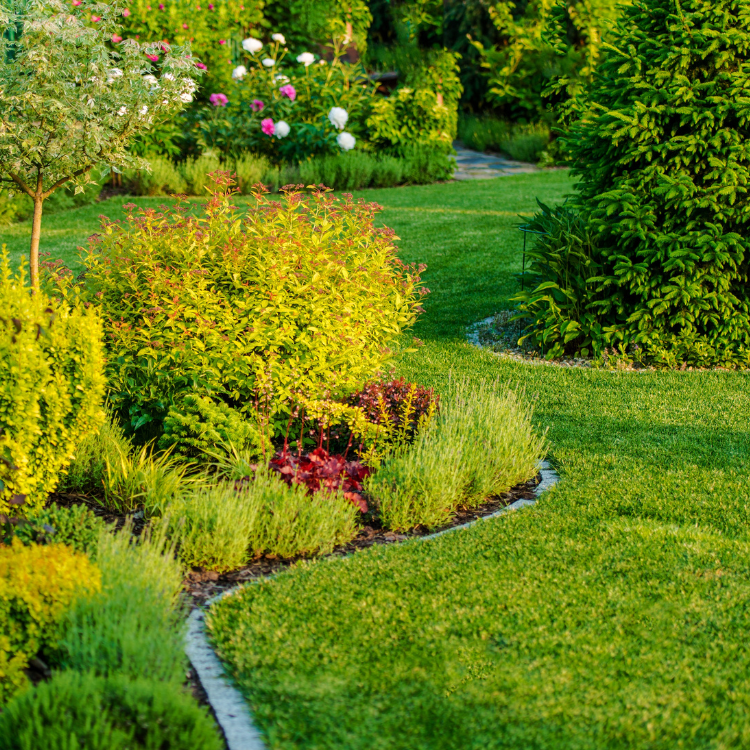 Paradise Valley Landscaping