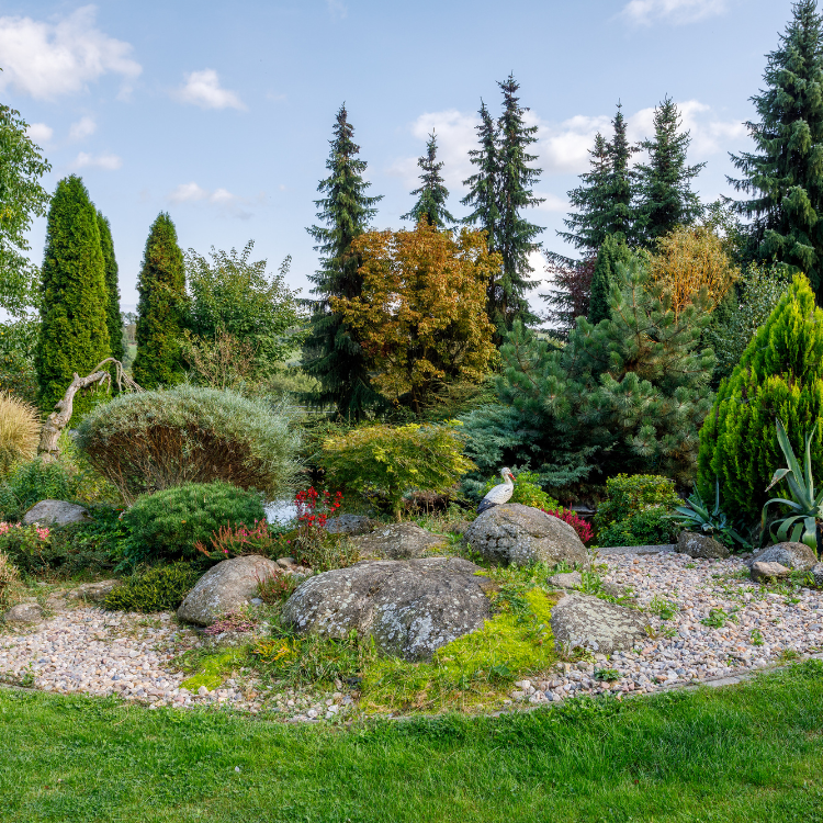 Paradise Valley Landscaping