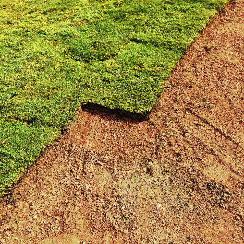 Paradise Valley Landscaping Paradise Valley Landscaping