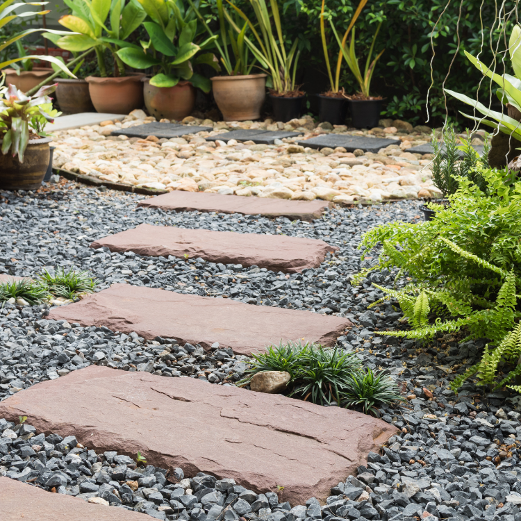 Paradise Valley Landscaping